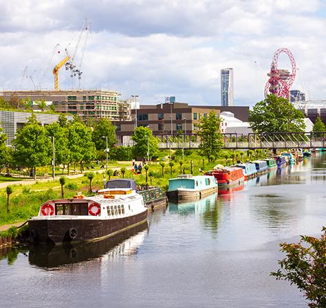 A pleasant view of the local area
