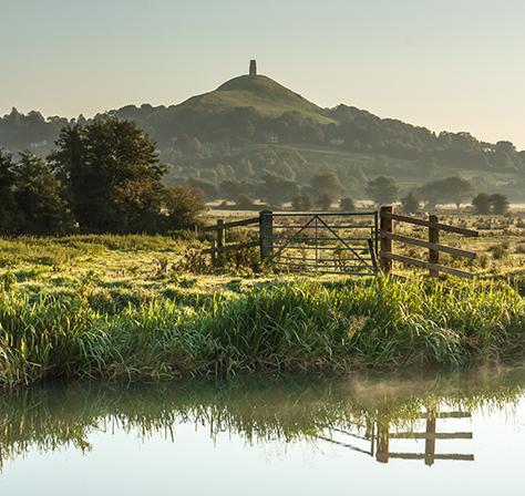 A pleasant view of the local area